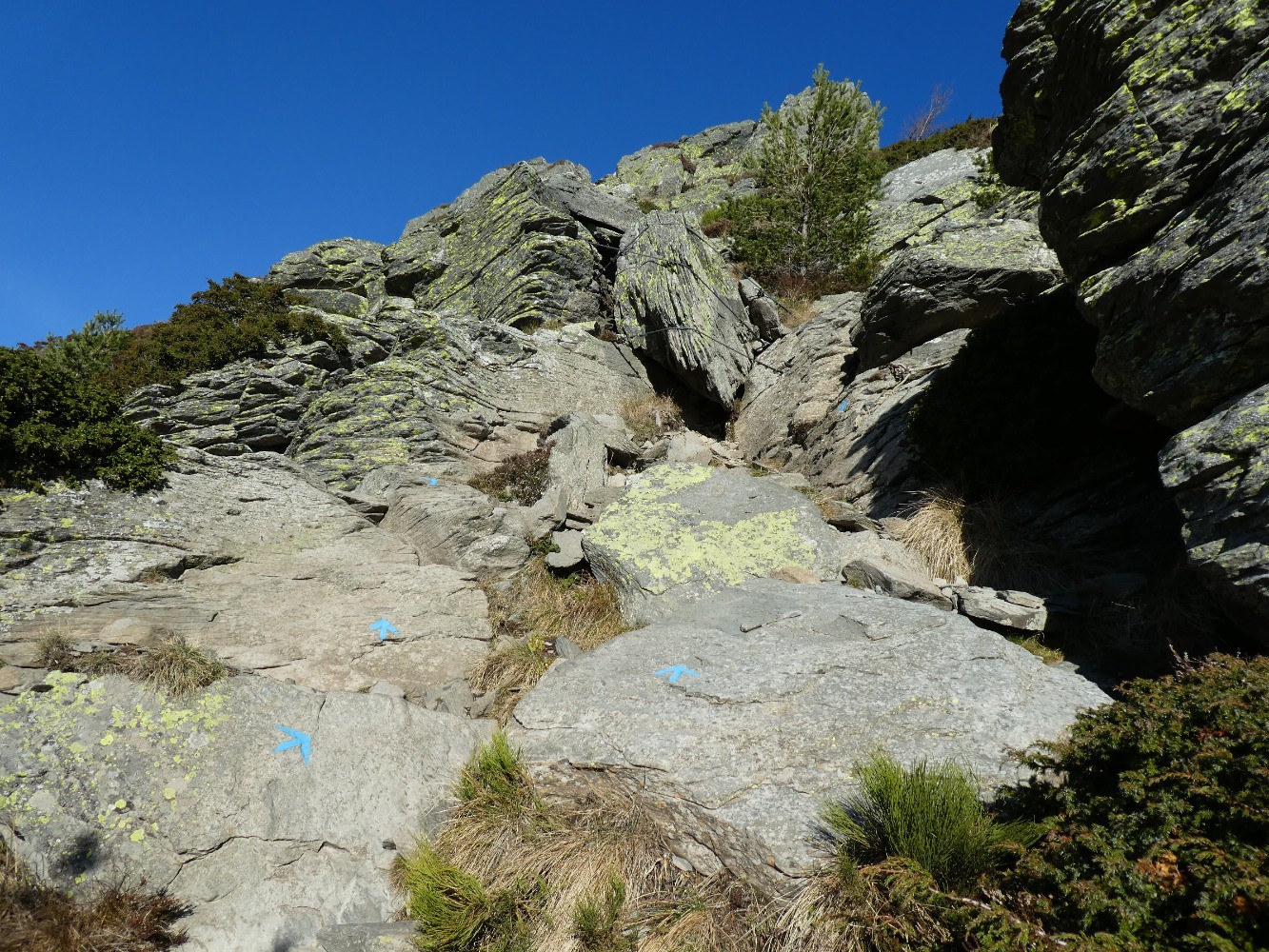 Dans la montÃ©e