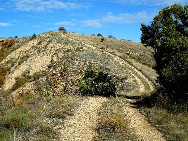 Belle faucille dans la montÃ©e