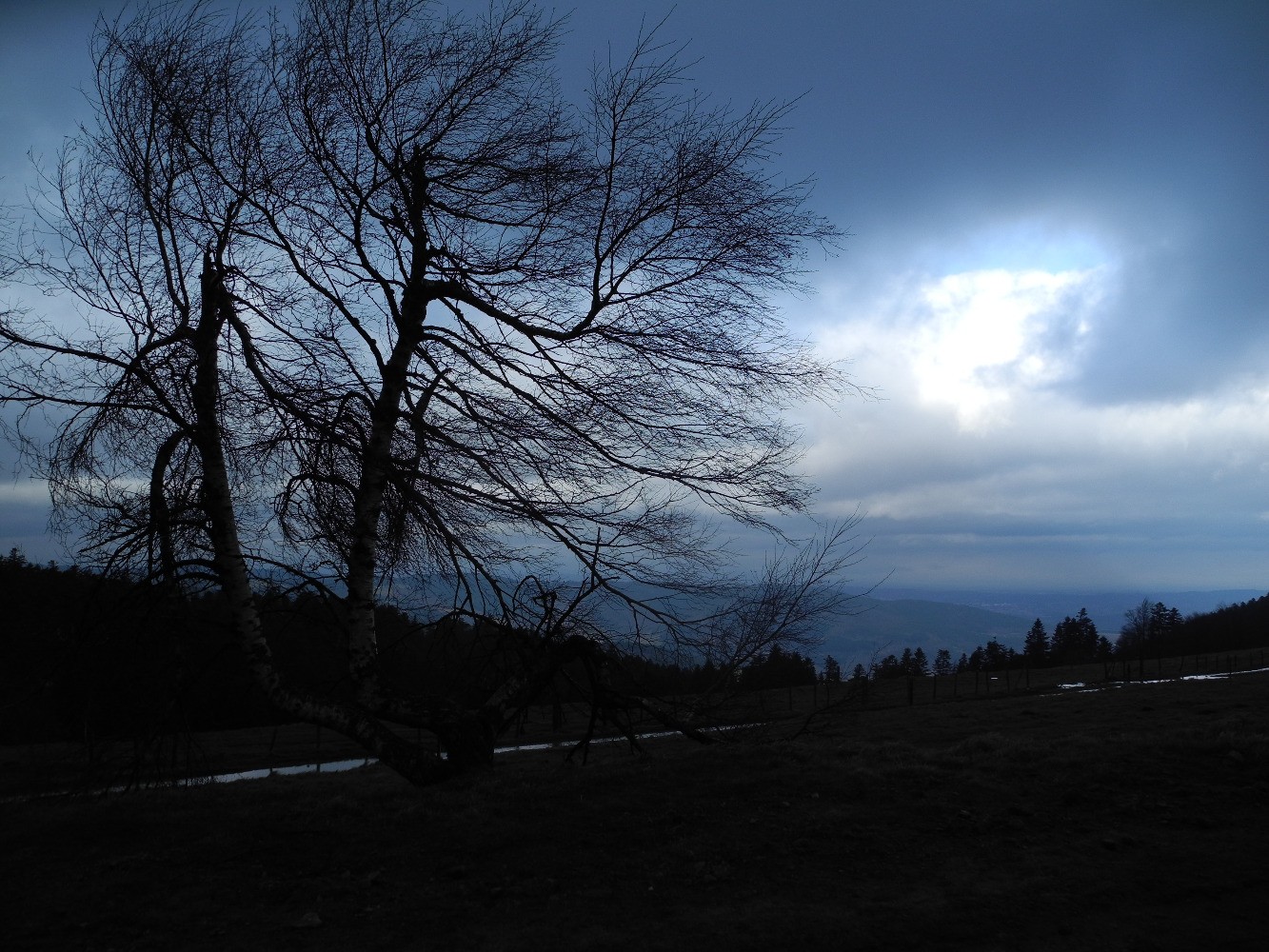 Dans la tempÃªte