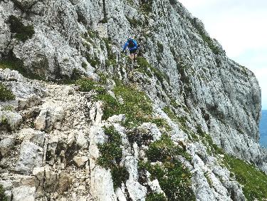 Dans le couloir de montÃ©e de la Petite Moucherolle