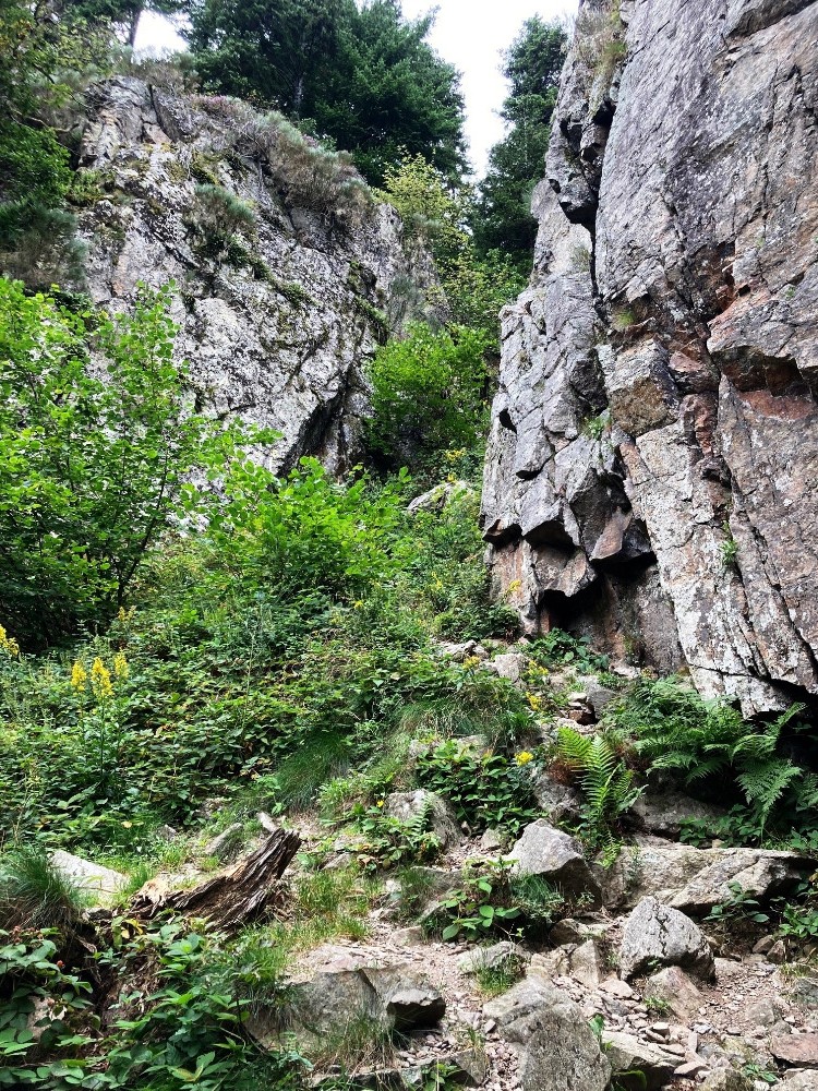 dans le couloir