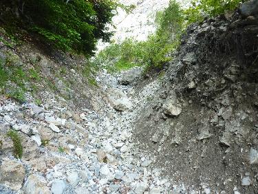 Dans le lit Ã  sec du ruisseau du Chamousset