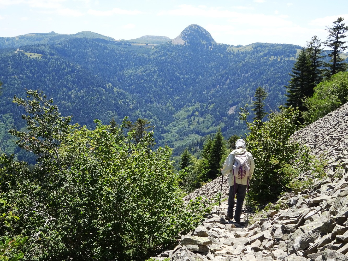 Dans le pierrier du versant Sud, face au Gerbier