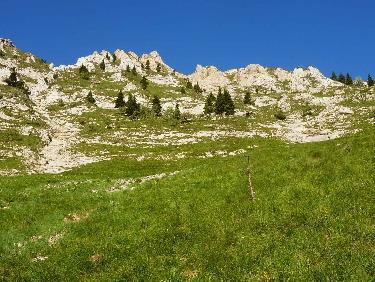 Dans le "PrÃ© MÃ©dian"