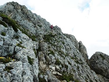 Dans les gradins de la montÃ©e