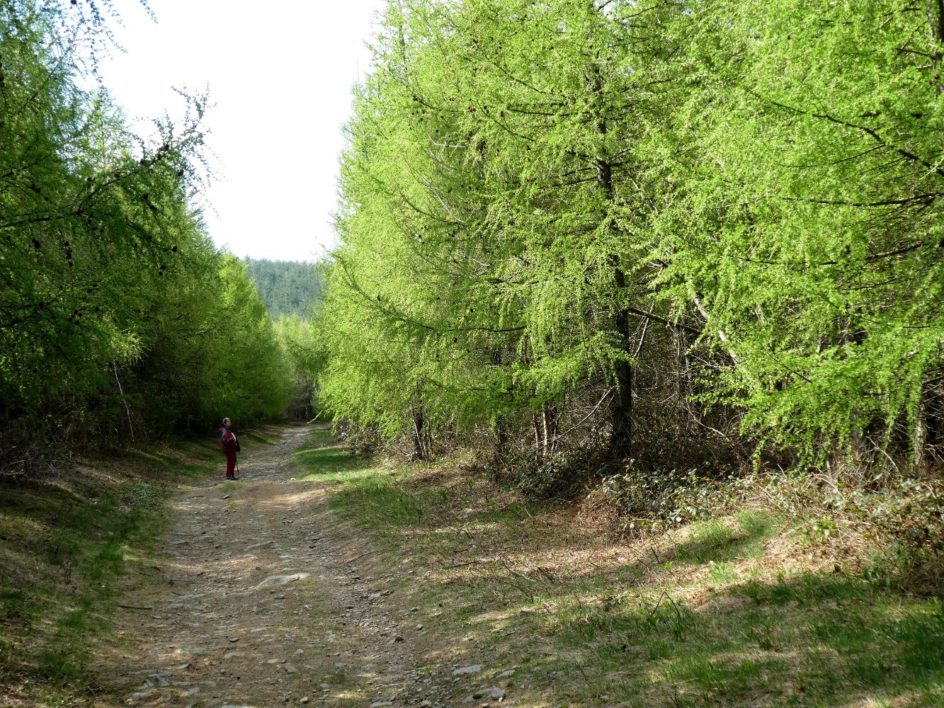 dans les mÃ©lÃ¨zes