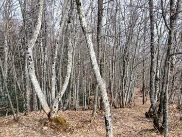 Dans le sable du Sahara 