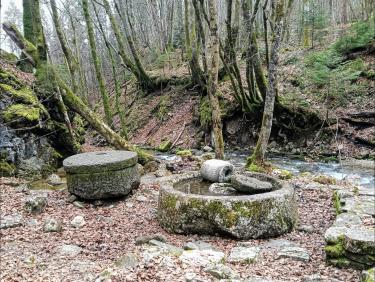 Dans le sable du Sahara 