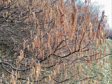 Dans le sable du Sahara 