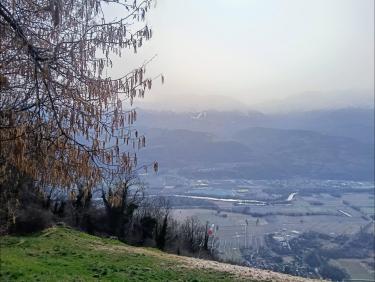 Dans le sable du Sahara 