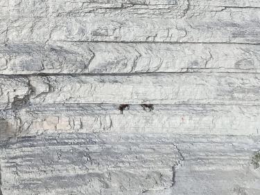 Dans le sable du Sahara  (Moulin de Porte Traine)