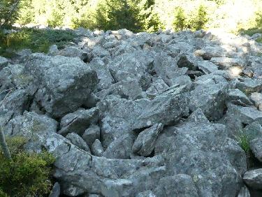Dans une coulÃ©e de blocs Ã  la montÃ©e