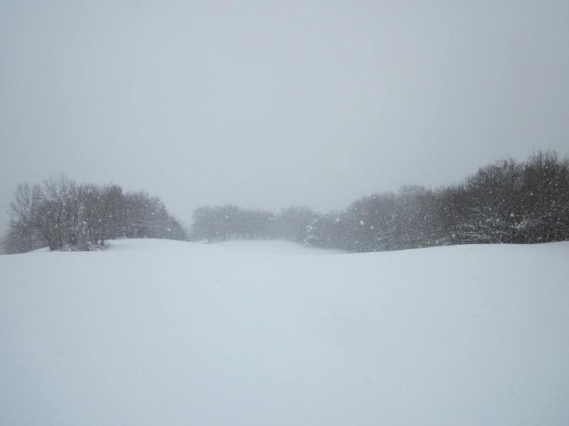 dans et sous la neige