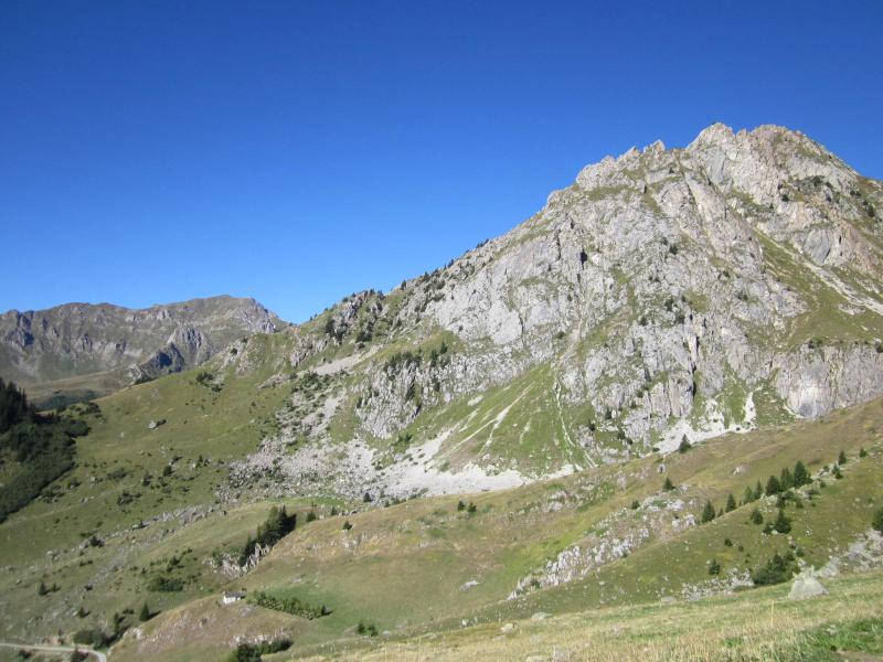 dans l'alpage