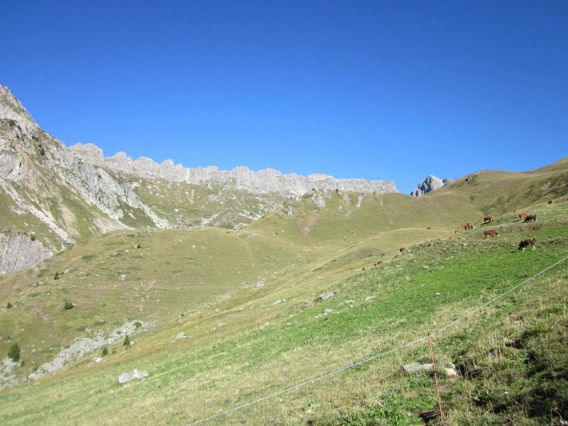 dans l'alpage
