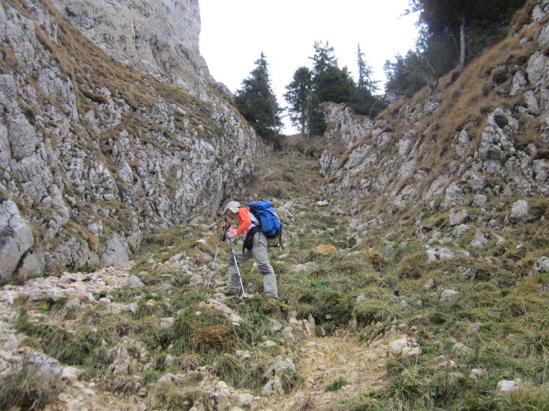 dans la cheminée