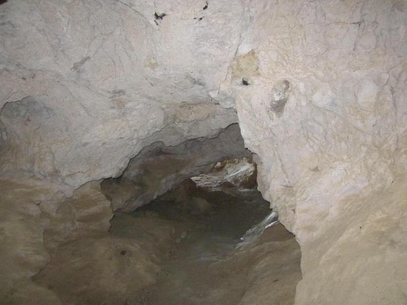 dans la grotte