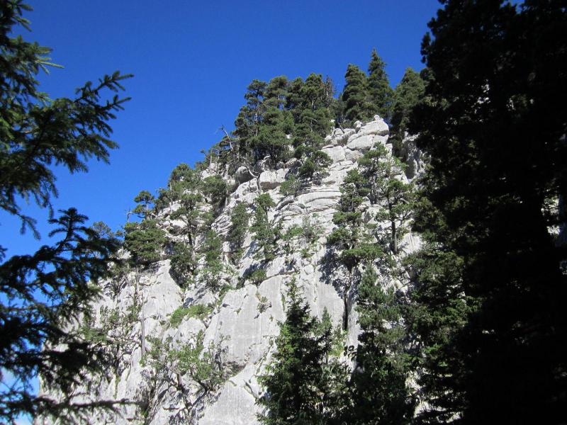 dans la montée au Prayet