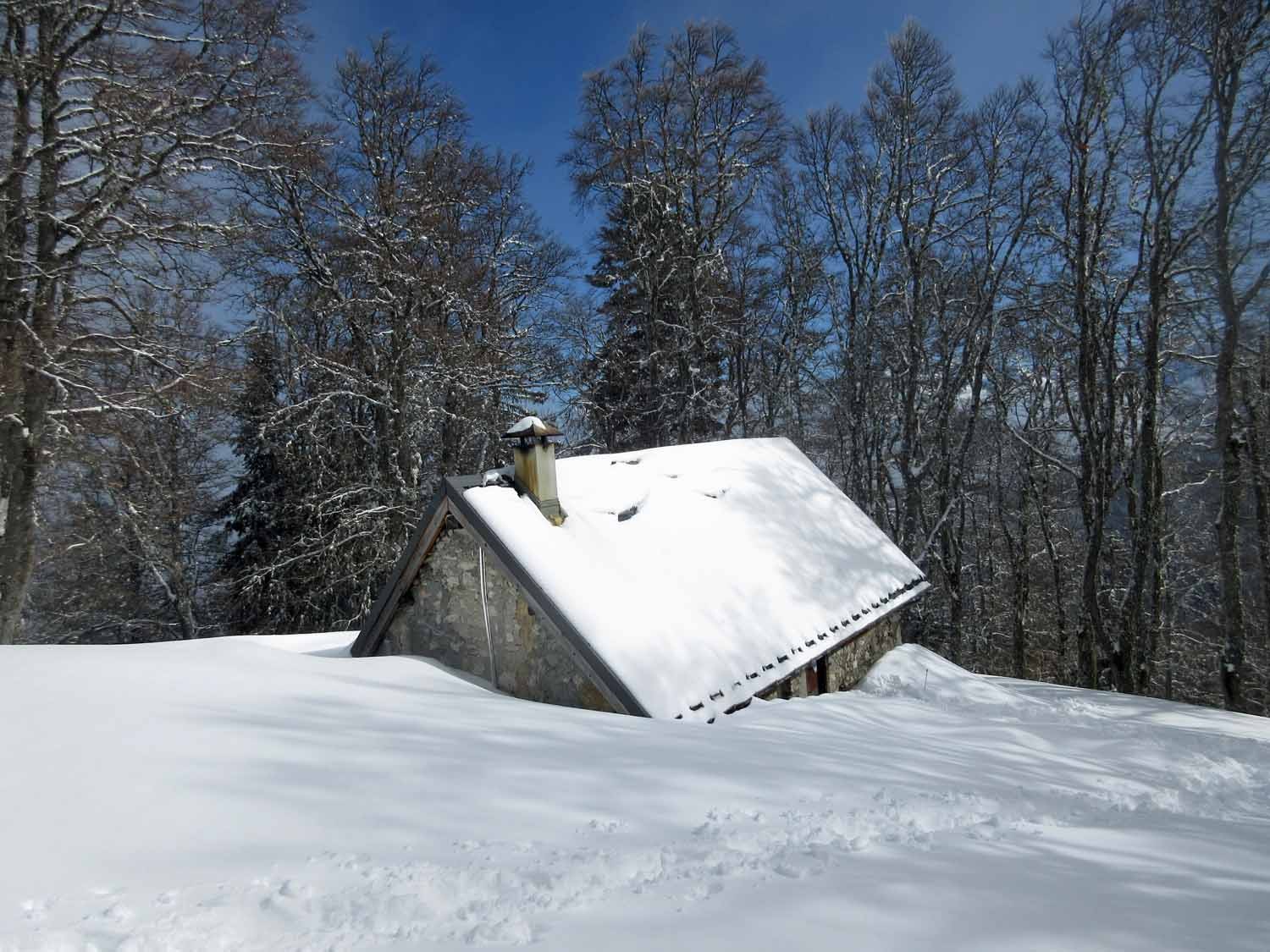 Dans la neige fraîche