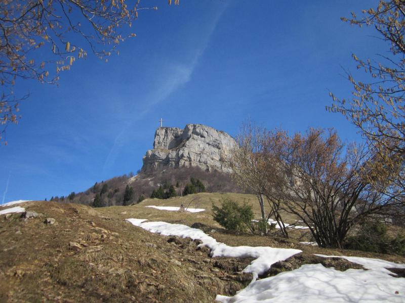 dans la prairie