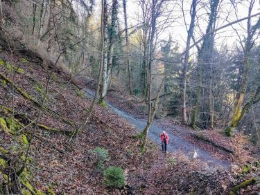 Dans la trace des sanglochons