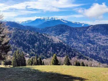 Dans la trace des sanglochons