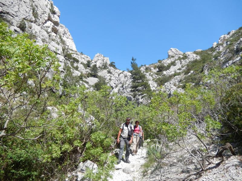 dans le Grand Malvallon