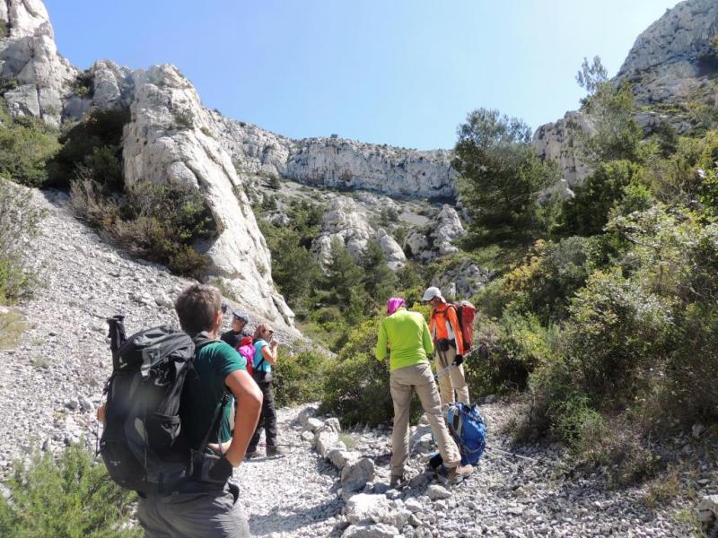 dans le Malvallon Médian