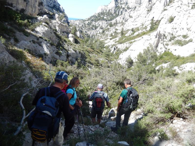dans le Malvallon Médian