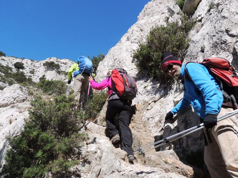 dans le Vallon du Miougranier
