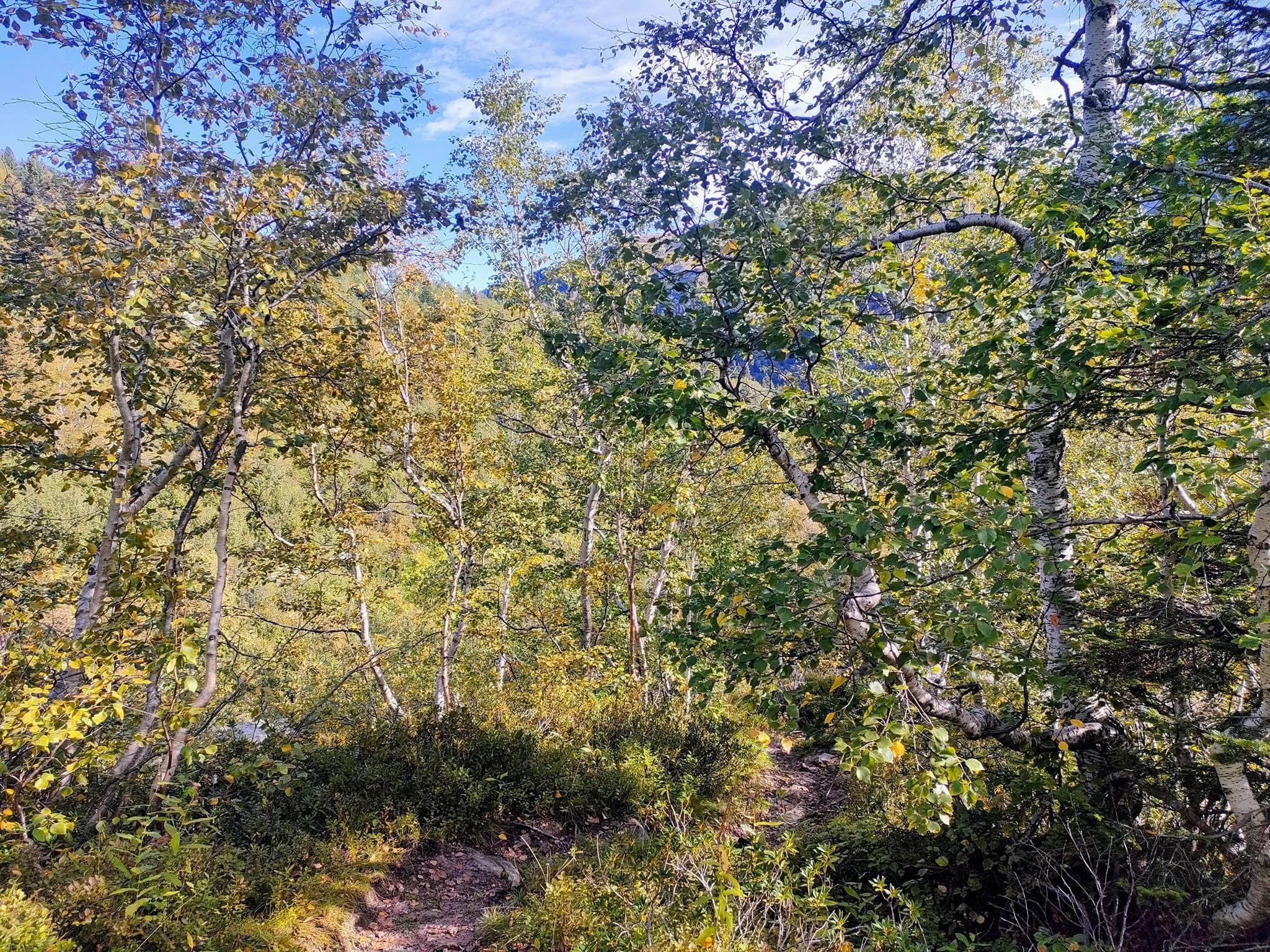 Dans le ciel de Belledonne