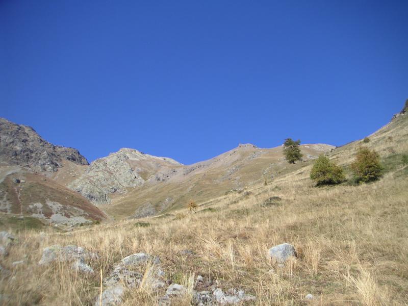 dans le vallon