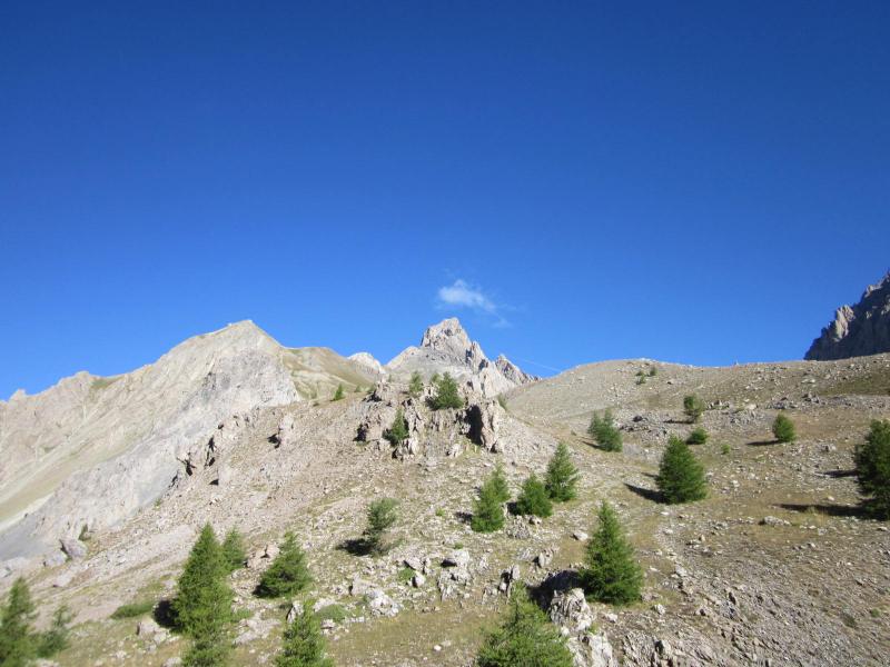 dans le vallon