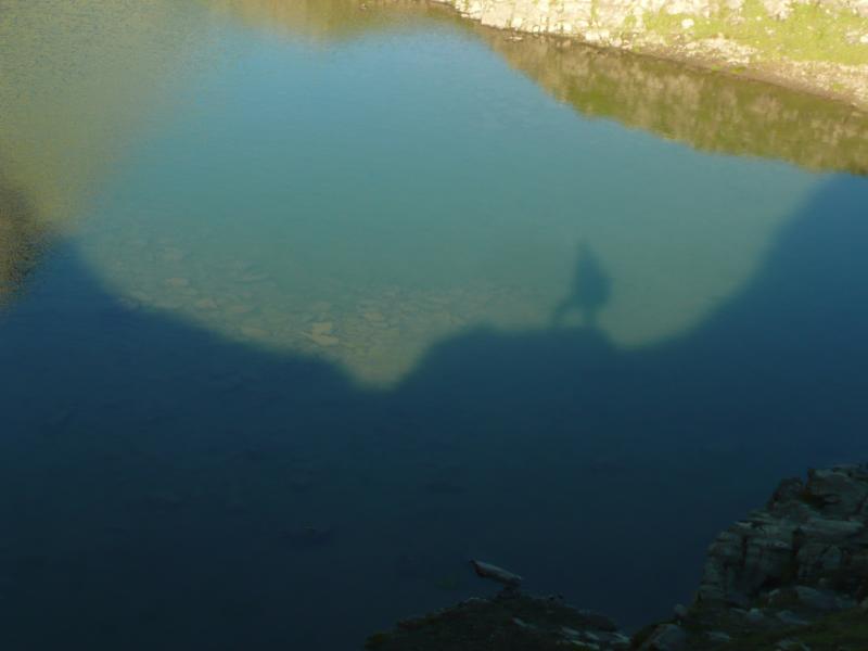 dans les eaux sombres du lac