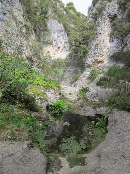 dans les gorges de la Véroncle