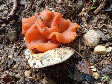 DC3F1DC5-4322-47BE-B69D-011BE47A18A6.