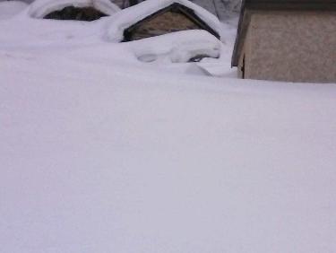 de D Ã  G : nouvelle cabane - ancienne cabane  et meringue