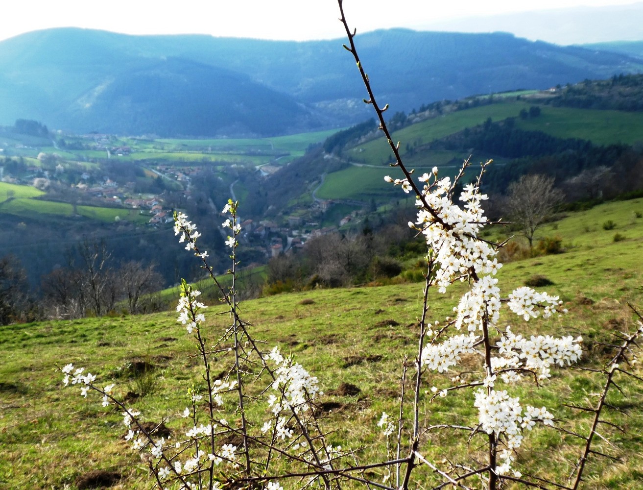 De la Bonnetanche vers Doizieux
