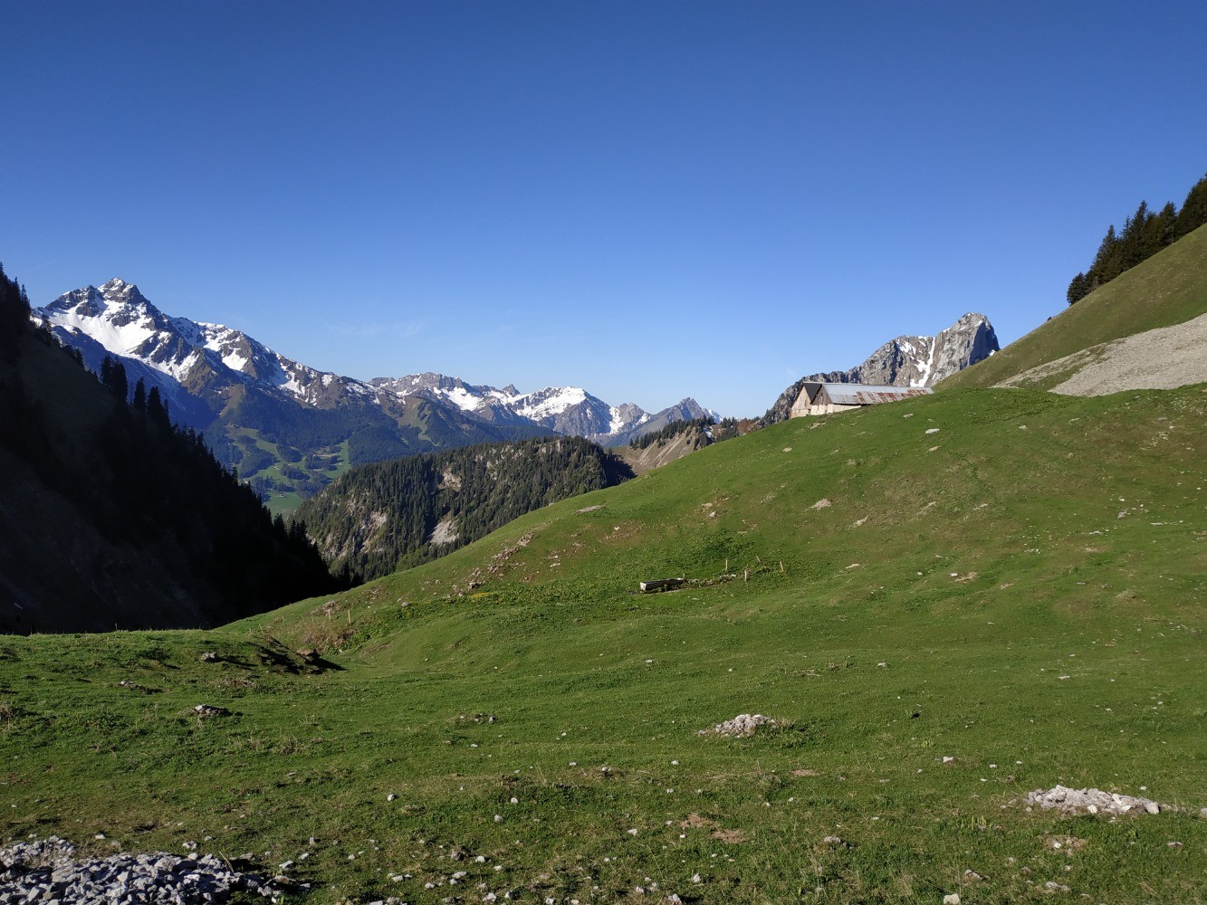 De la neige a Bise