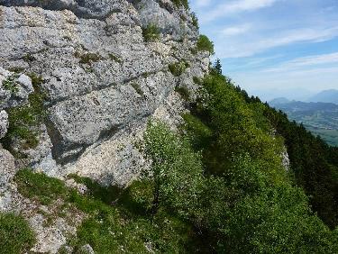 DÃ©but de la vire, sous la barre de falaise