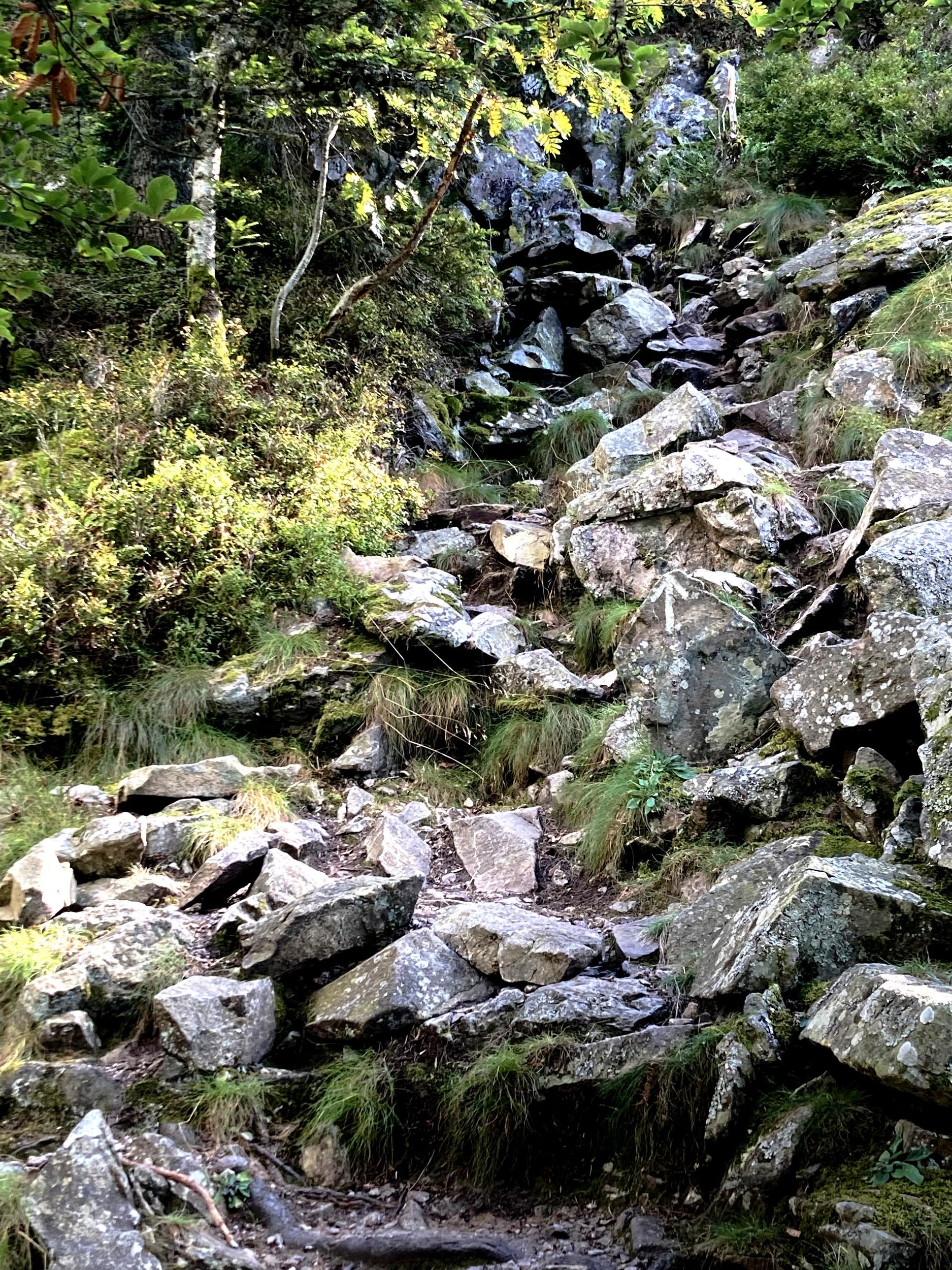 Début de la montée du "mur"