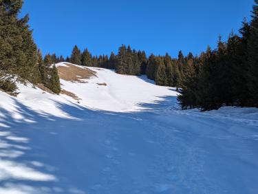 Déclaré à la sécu