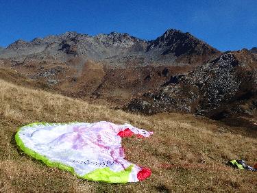 DÃ©co sur fond de Becqui Rouge