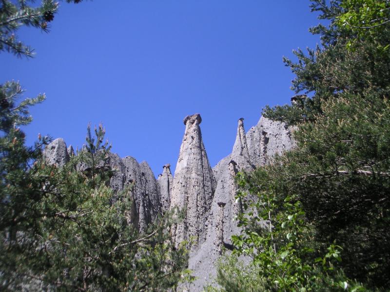 demoiselles coiffées