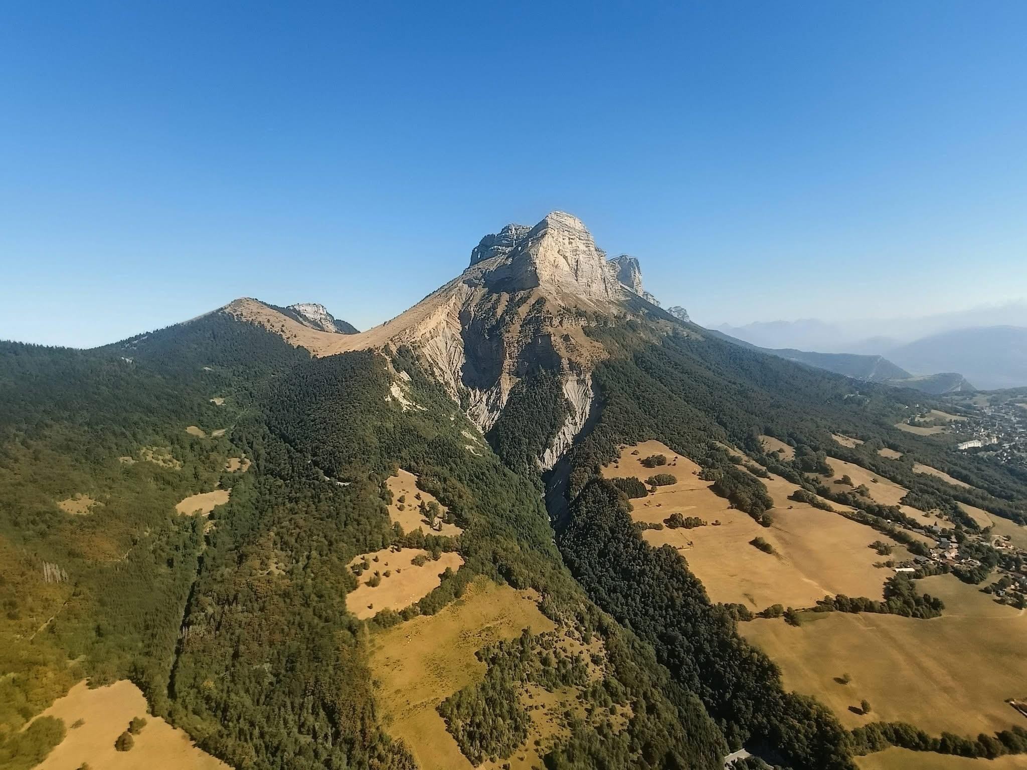 La dent en majesté 