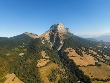 La dent en majesté 