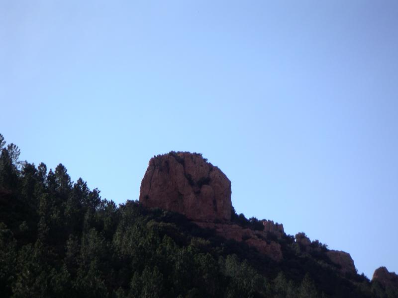 dent de l'ours