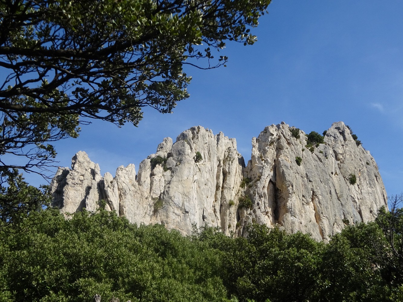 Dentelles Sarrasines