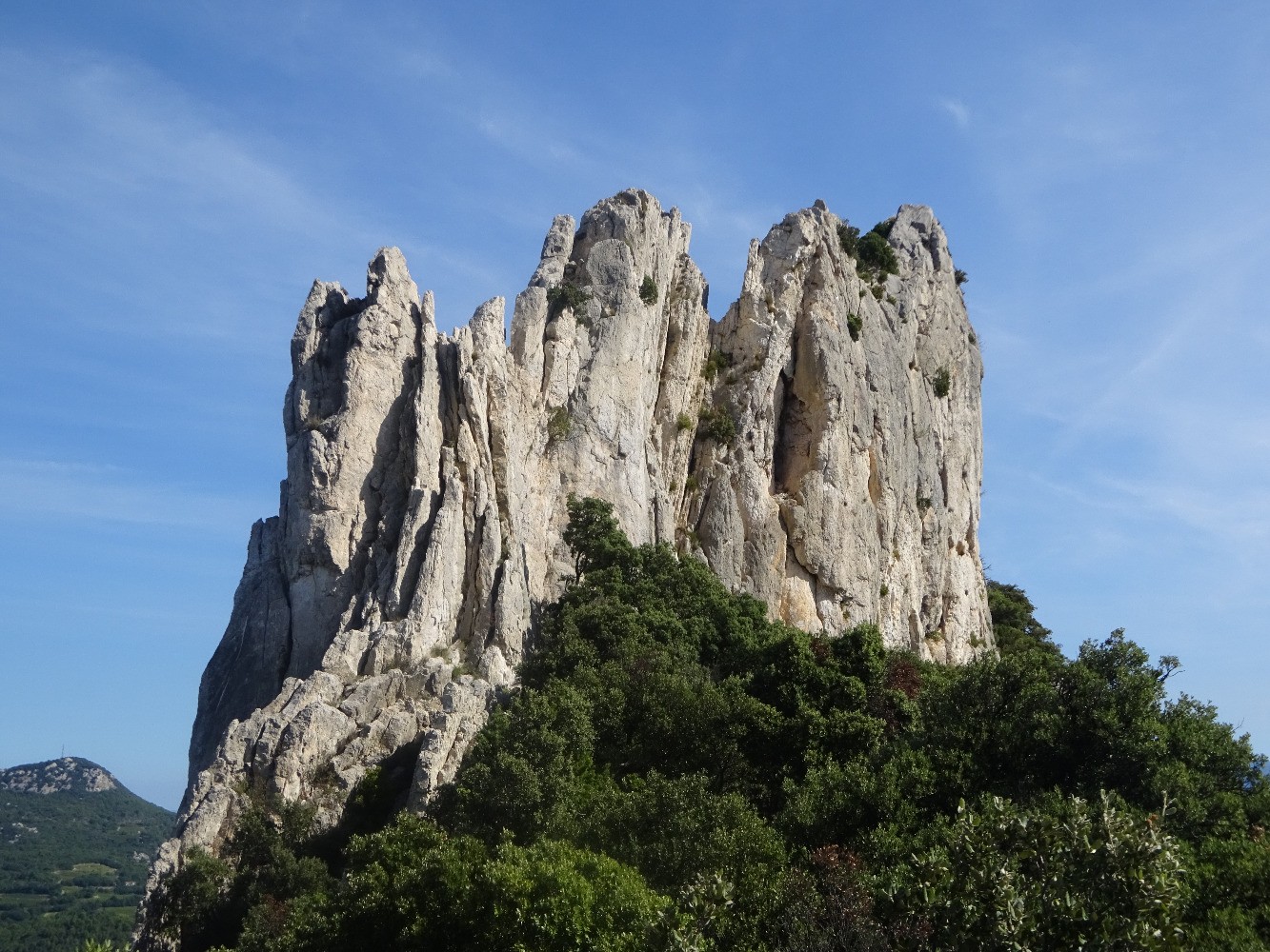 Dentelles Sarrasines
