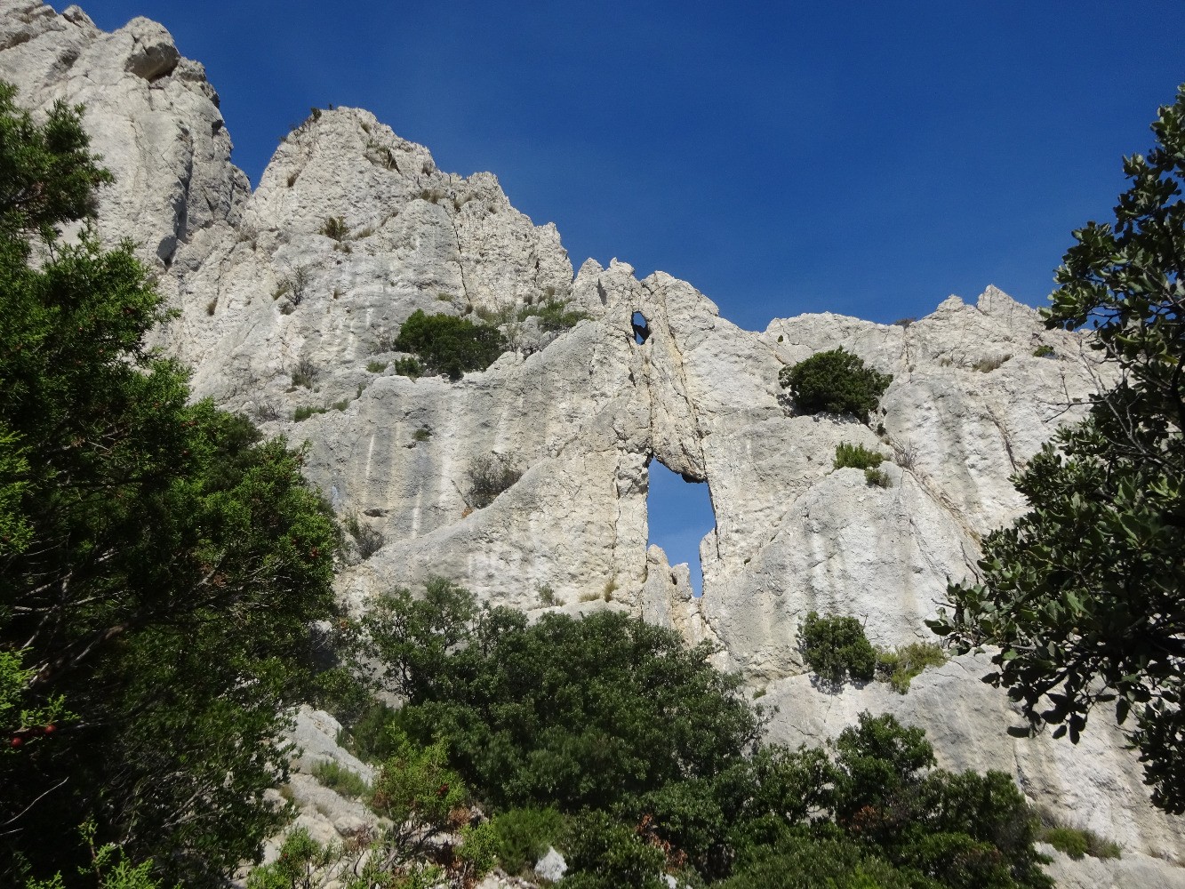 Dentelles Sarrasines